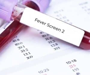Fever Screen 2