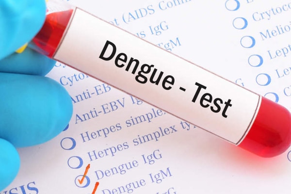 Dengue Test